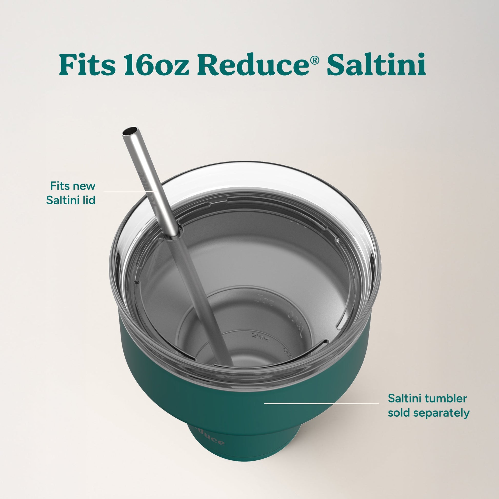 saltini-straw-set-f4 4PK_SaltiniStraws_SS-4.jpg