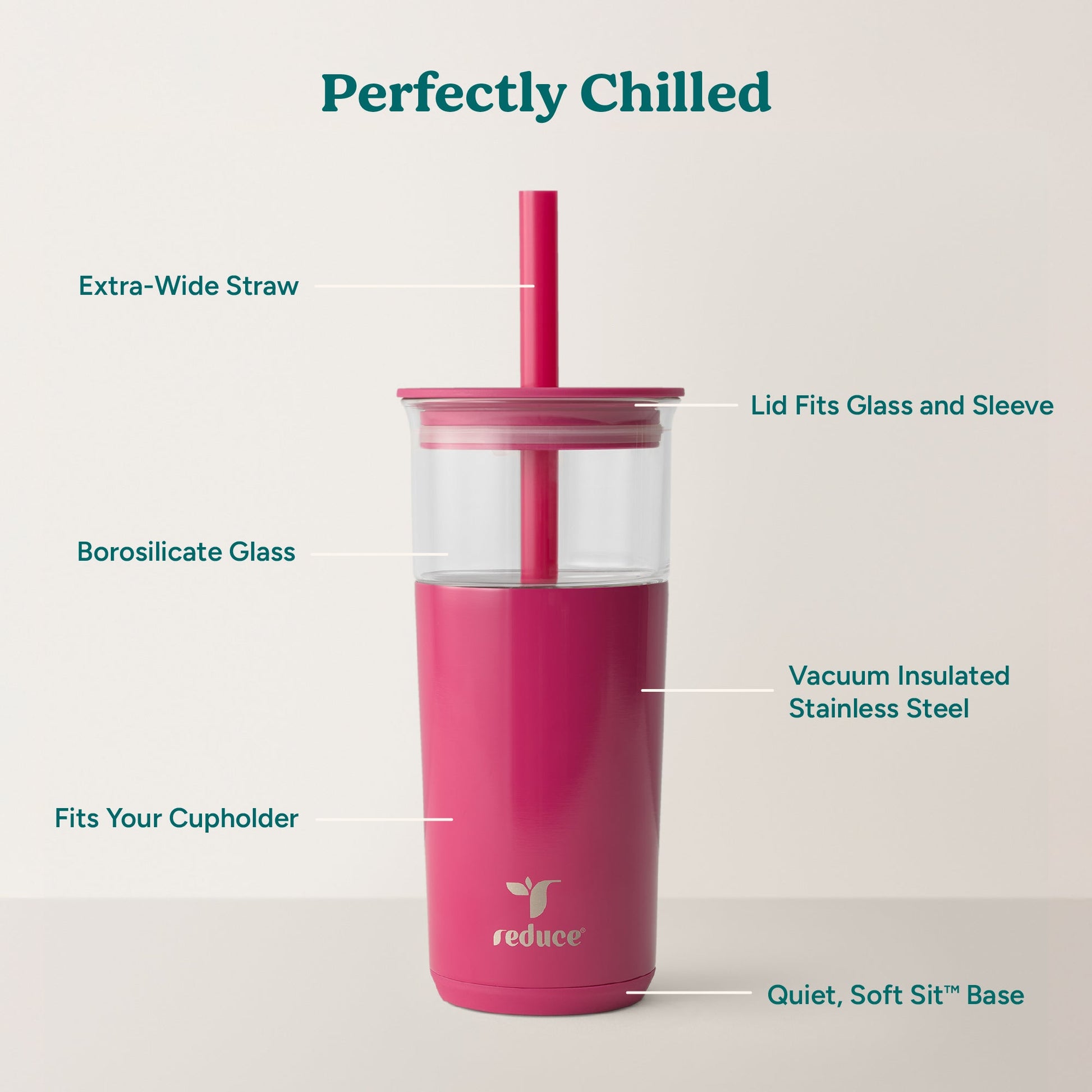 aspen-20-oz-b3 Aspen_Dragonfruit_PDP_Infographic2.jpg