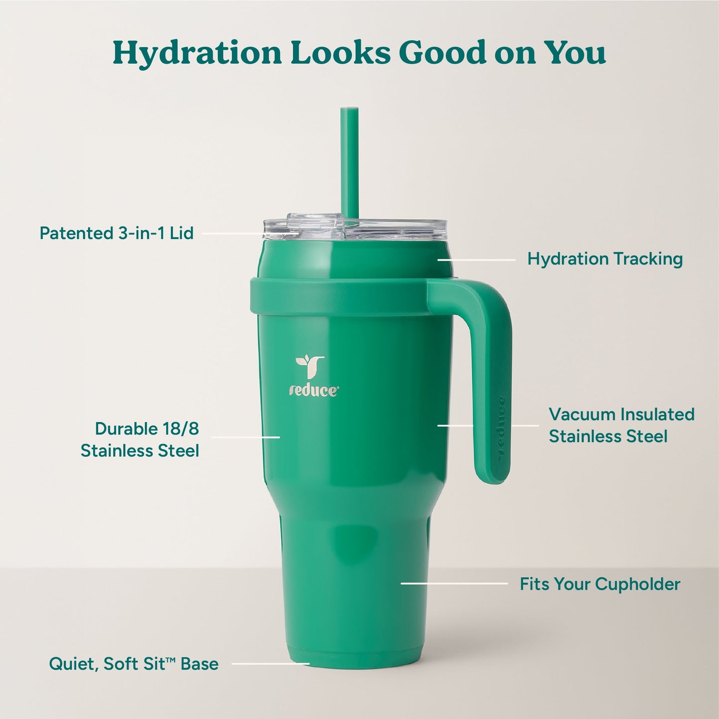 cold1-40-oz-t0 Cold1_40oz_PalmLeaf_Infographic_2.jpg