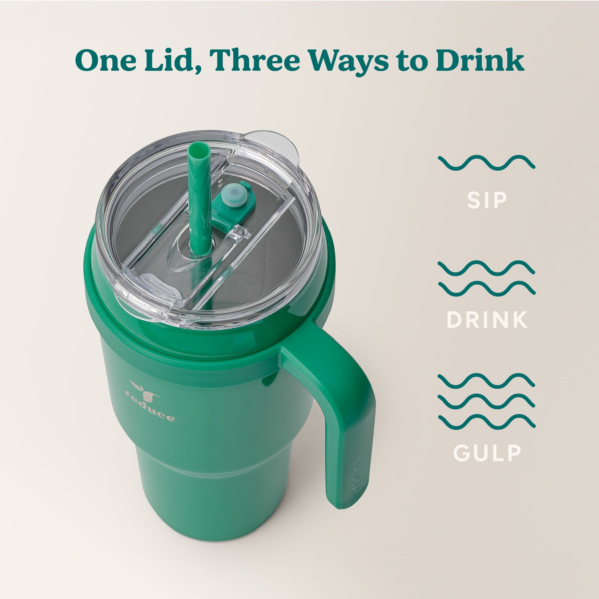 cold1-40-oz-t0 Cold1_40oz_PalmLeaf_Infographic_3.jpg