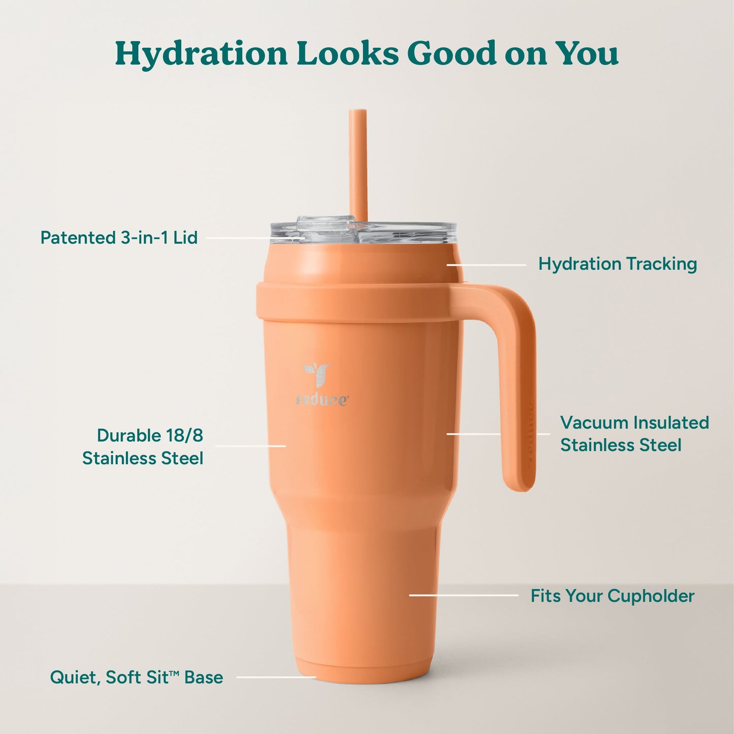 cold1-40-oz-t0 Cold1_40oz_Papaya_Infographic_2.jpg