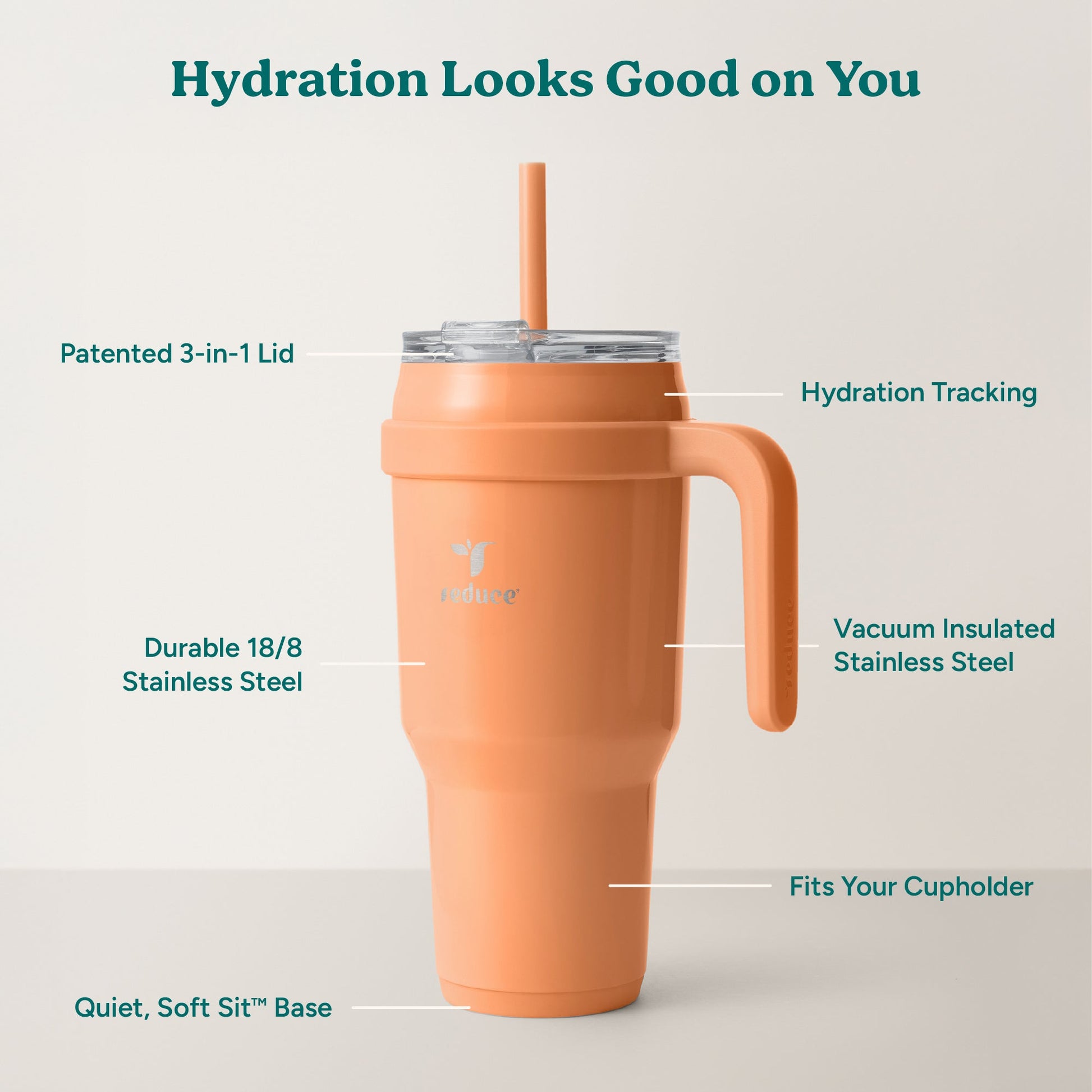 cold1-40-oz-t0 Cold1_40oz_Papaya_Infographic_2.jpg