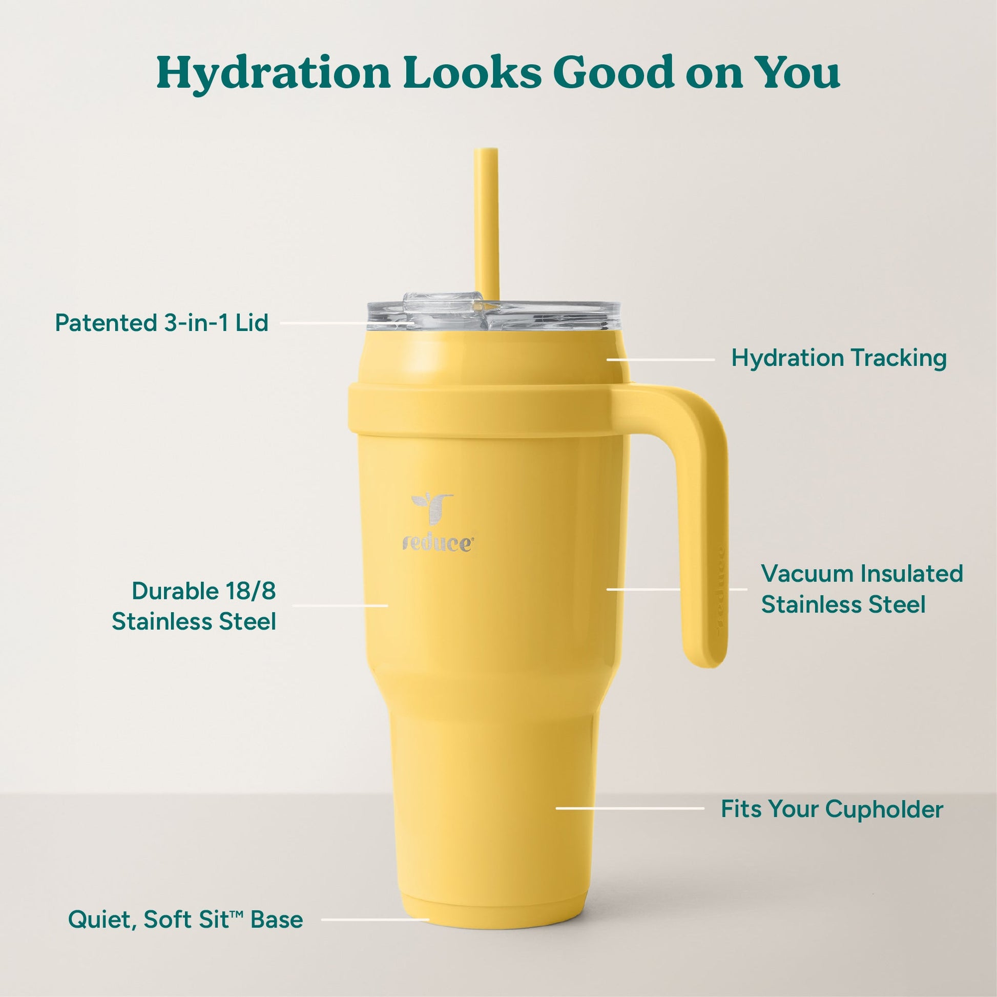 cold1-40-oz-t0 Cold1_40oz_Pineapple_Infographic_2.jpg